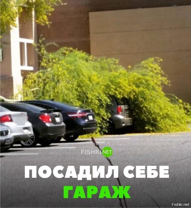 Посадил себе гараж