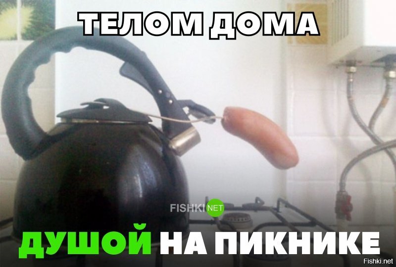 Телом дома, душой на пикнике