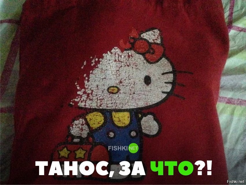 Так вот кто портит мои футболки