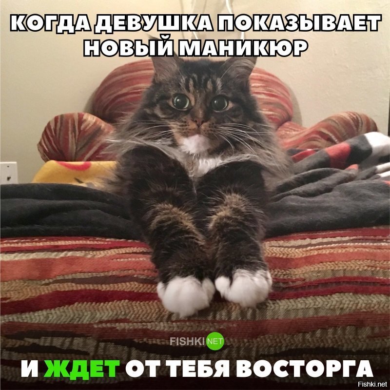 Когда девушка ждёт от тебя восторга на её новый маникюр