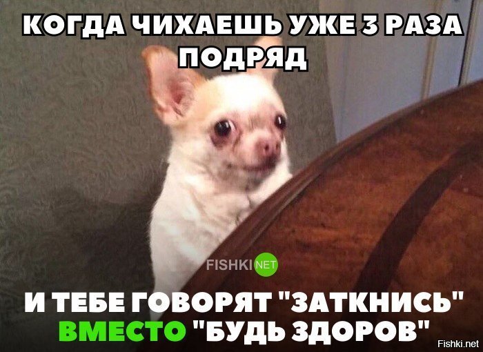 Особенно с весенней аллергией