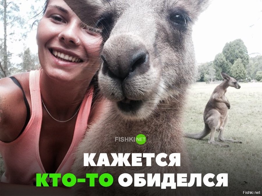 Кажется кто-то обиделся