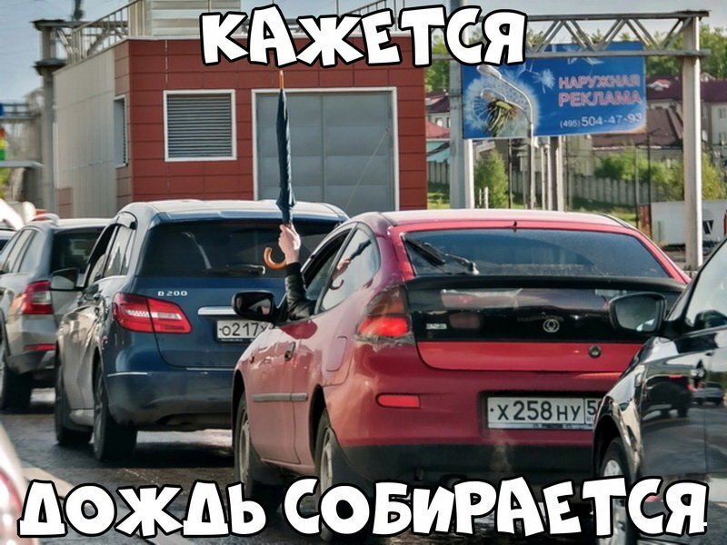 Автовсячина