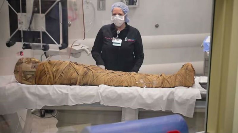 Врачи обнаружили у египетской мумии рак через 2000 лет после смерти