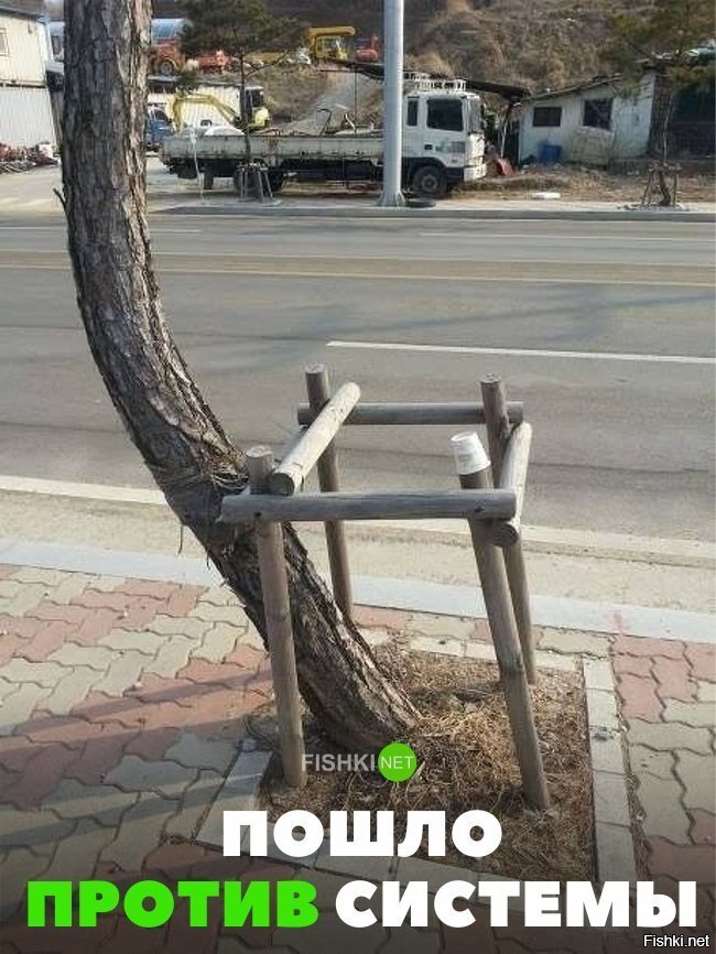 Против системы