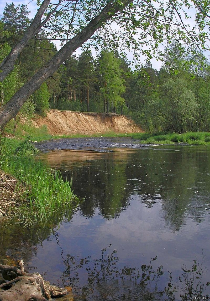Река Комела