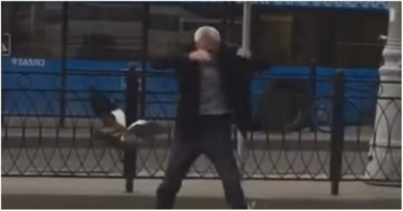 В Москве таксист решил помочь утке с утятами перейти дорогу, но в итоге спасался от нее бегством