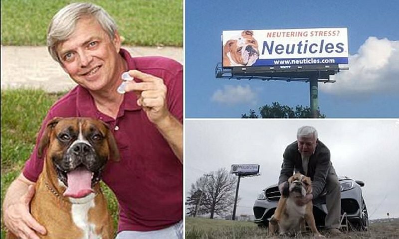 Бизнесмен, создавший искусственные собачьи тестикулы, заработал на них миллионы