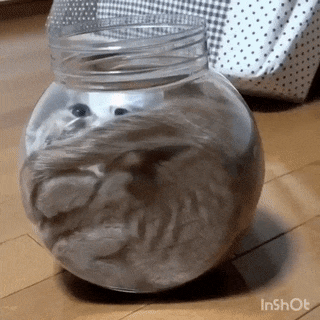 Нет ничего невозможного