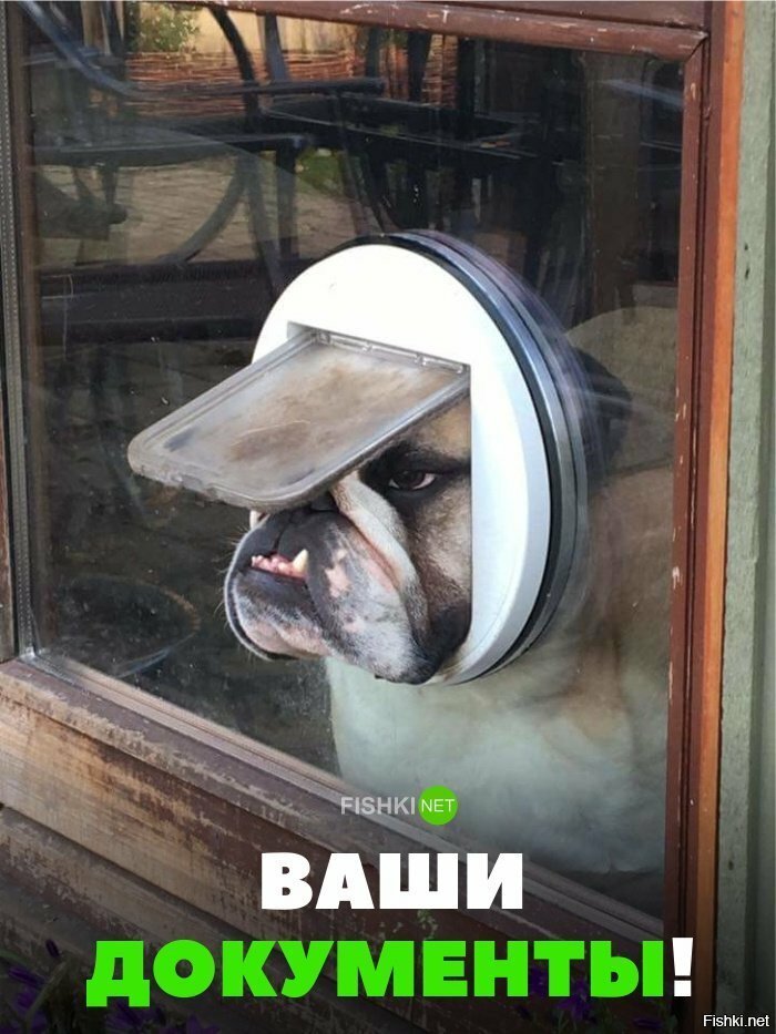 Ваши документы