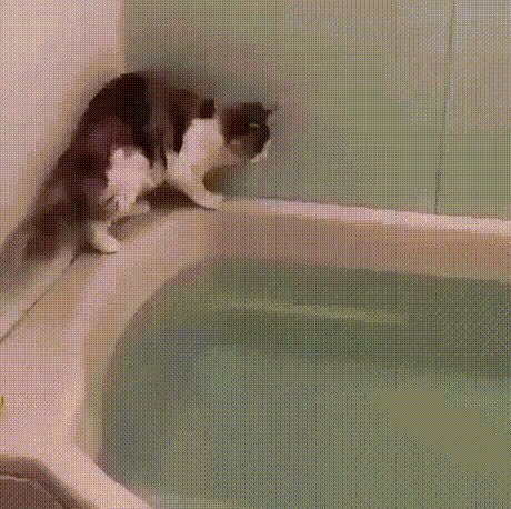 Что творится у него в голове