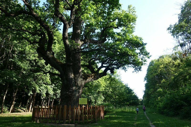 Легендарная Диканька