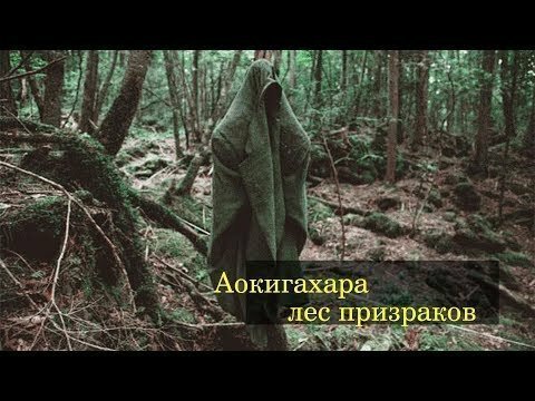 Страшные сказки. Лес призраков