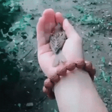 Зачем покидать уютное местечко