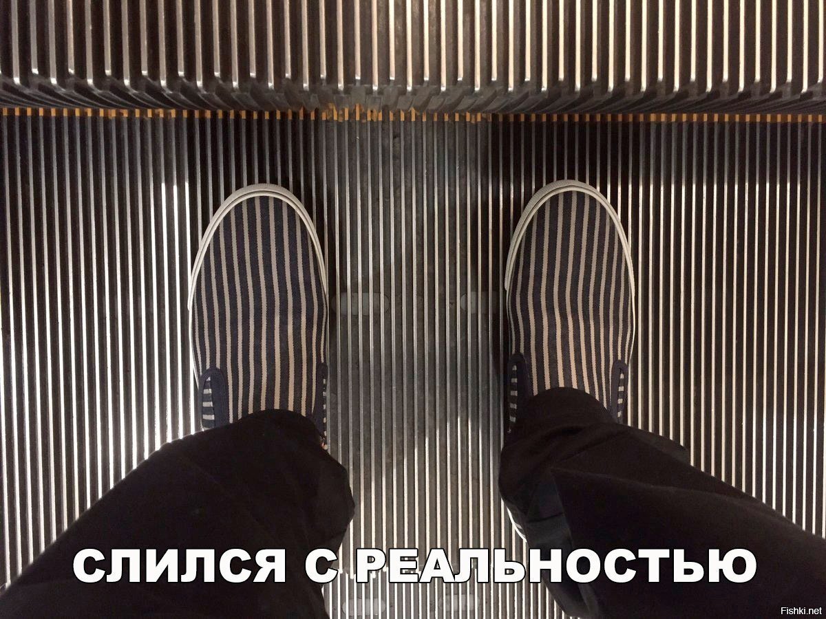 Слился с реальностью