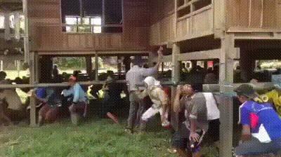 Дом, дом украли