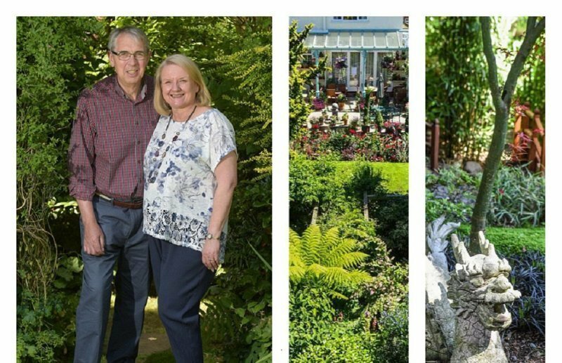 Чудо-садоводы 28 лет растили волшебный сад