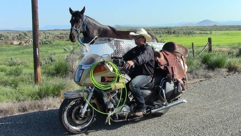 Фермер из Штата Айдахо приспособил мотоцикл для перевозки лошадей
