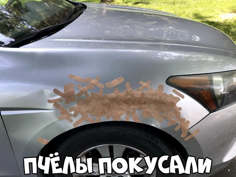 Автовсячина