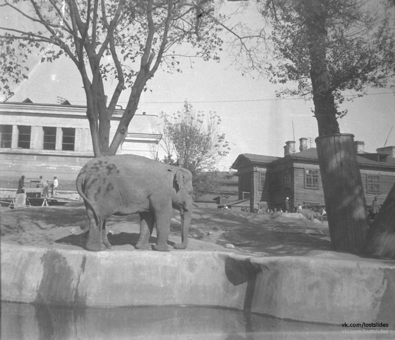 Москва, Саратов, 1936-1938