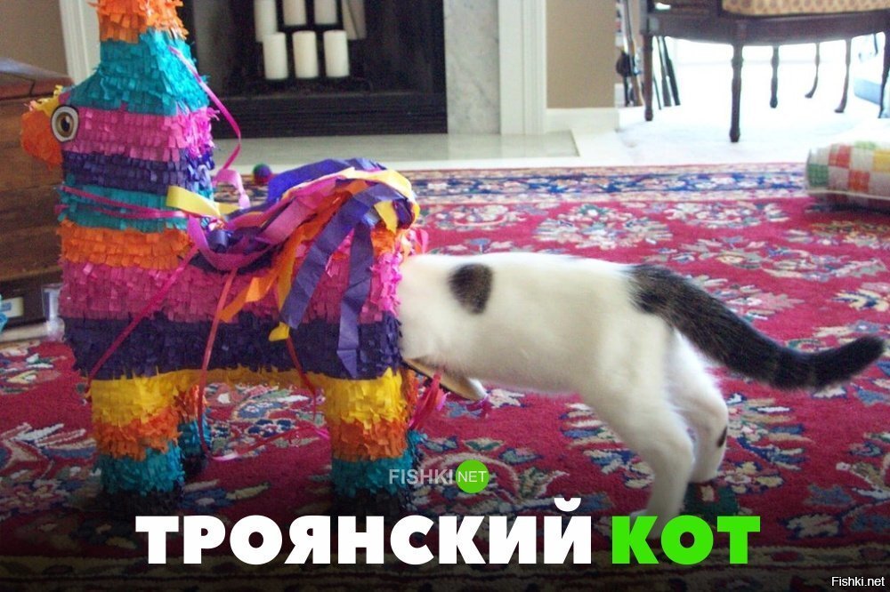 Троянский кот
