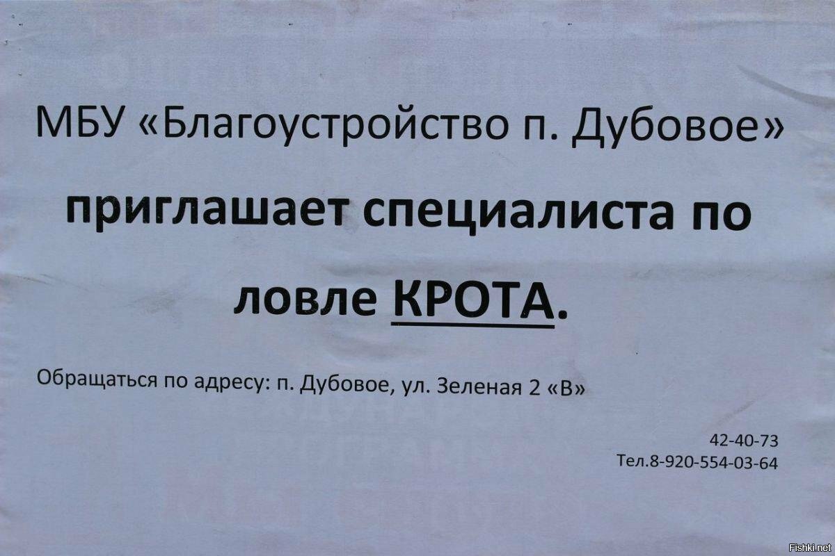 Всё крот, тебе пи*дец