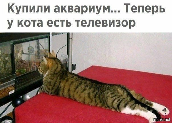 Добрейшего всем утречка