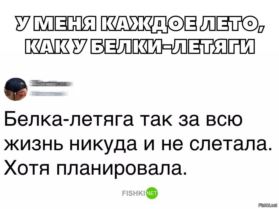 Каждое лето как у белки летяги
