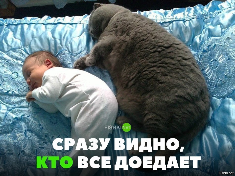 Сразу видно, кто всё доедает