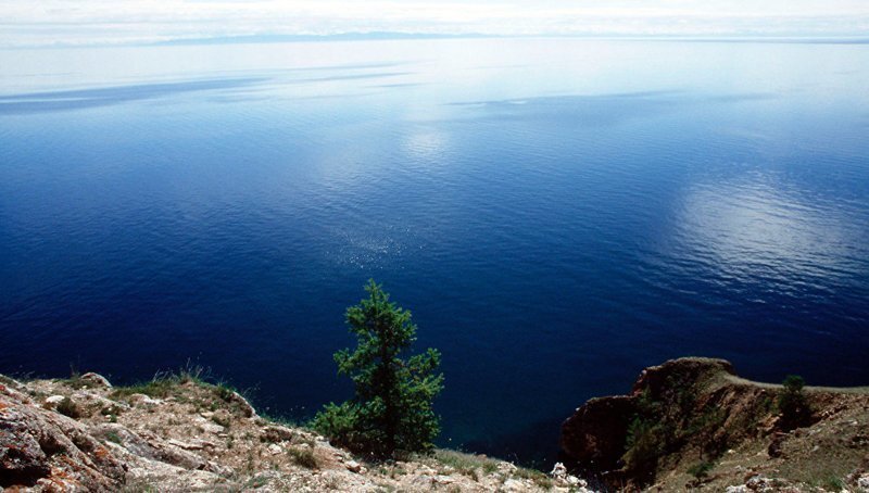 Упавший со скалистого берега Байкала турист провисел на дереве 17 часов