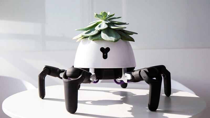 В Китае создали робота, призванного позаботиться о комнатных растениях