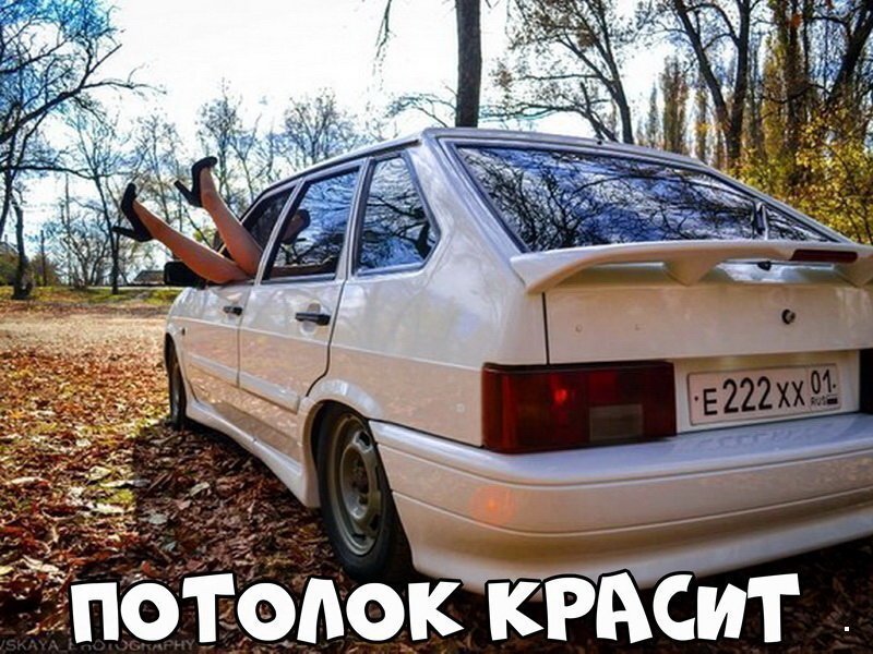 Автовсячина