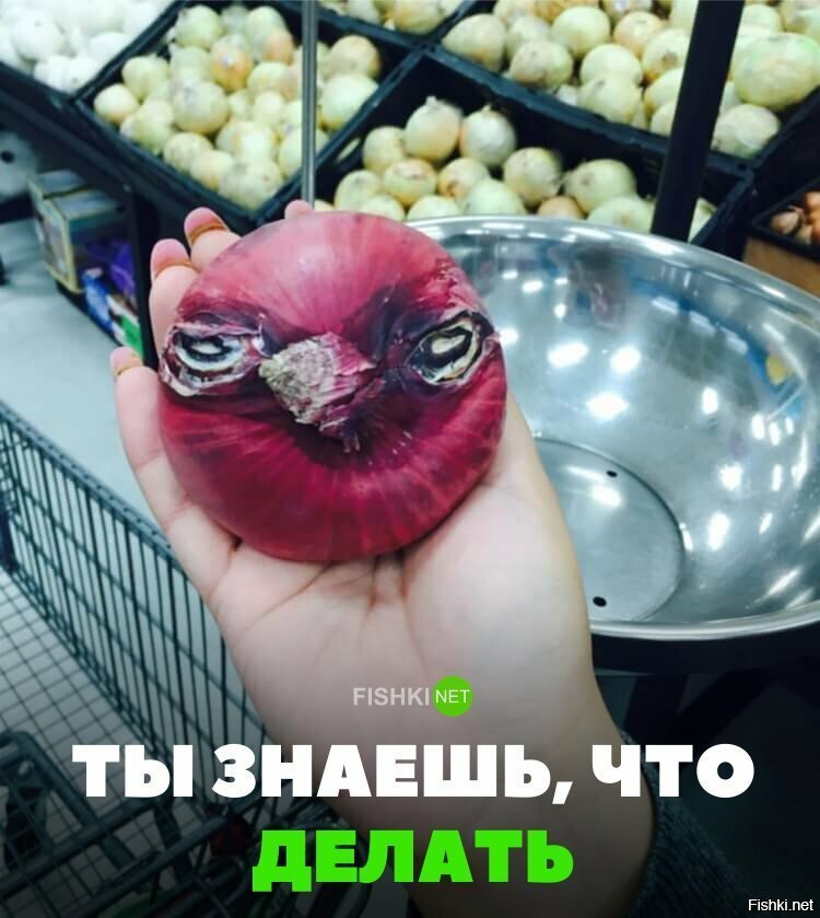 ТЫ знаешь, что делать