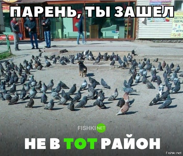 Ты зашёл не в тот район