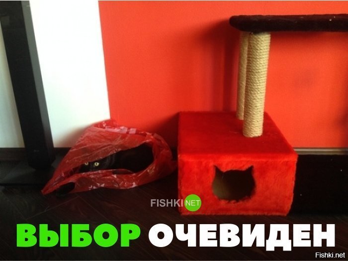 Выбор очевиден