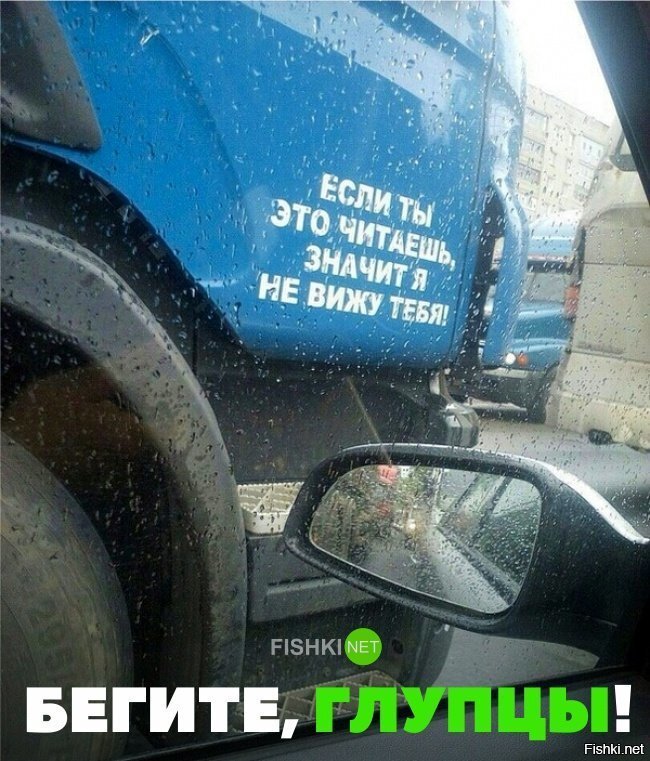 Бегите глупцы