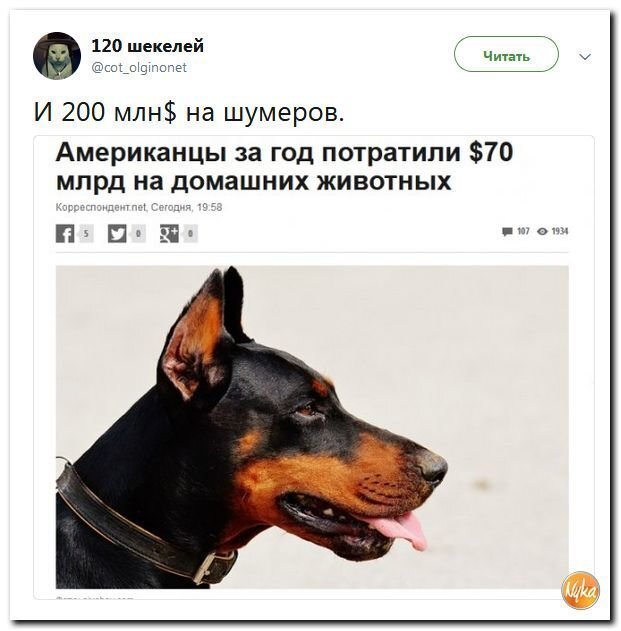 Политические коментарии - 542