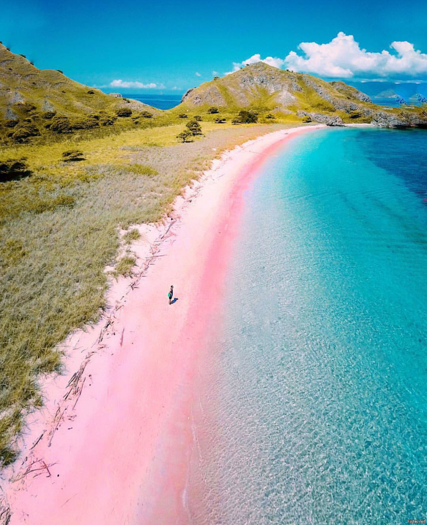 Розовый пляж остров Комодо