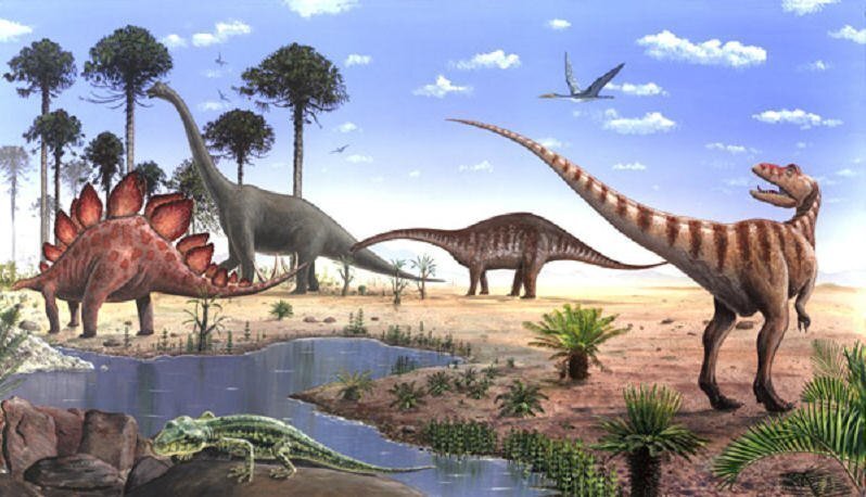 Так что-же жрали динозавры? Шишки юрскаого периода