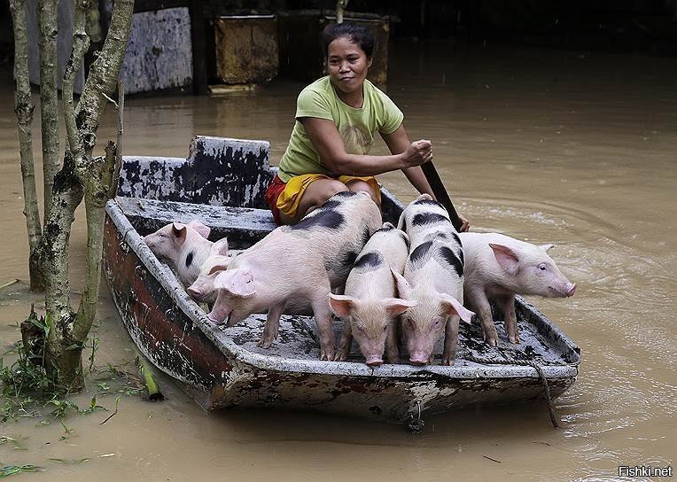 На Филипинах наводнение  - спасают самое ценное