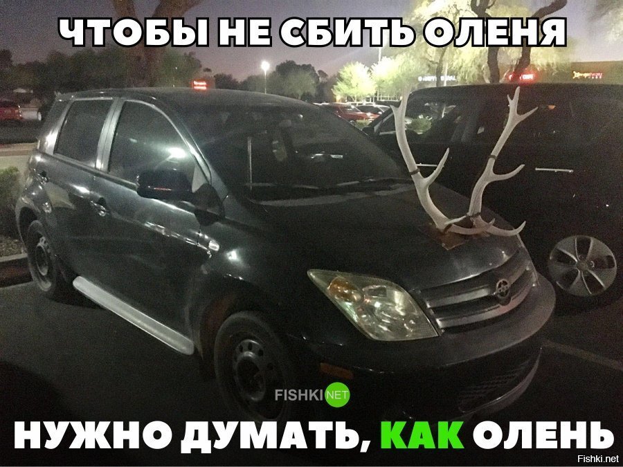 Чтобы не сбить оленя нужно думать, как олень