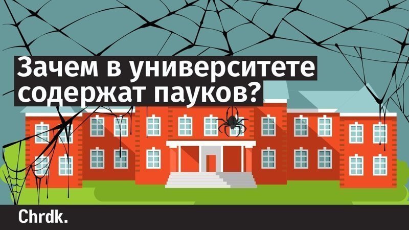 Зачем университету пауки