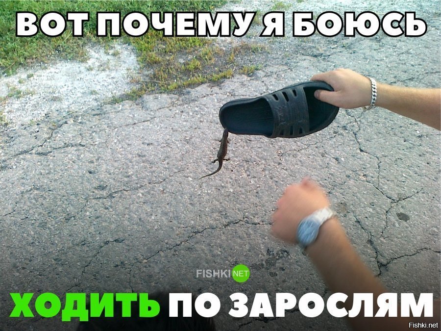 Теперь ещё больше боюсь