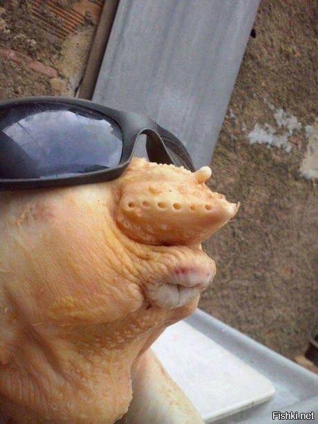 Солянка