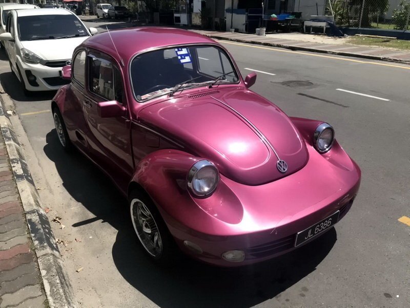 Автовсячина. Volkswagen Beetle