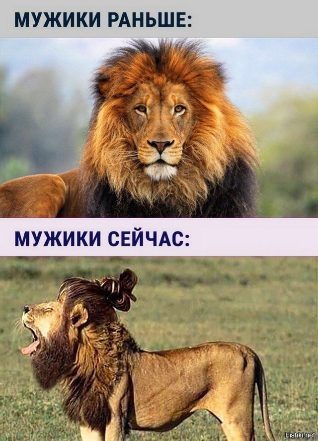 в тему заглавной картинки: 