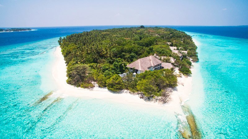 Вакансия мечты: гостиница на Мальдивах ищет книголюба