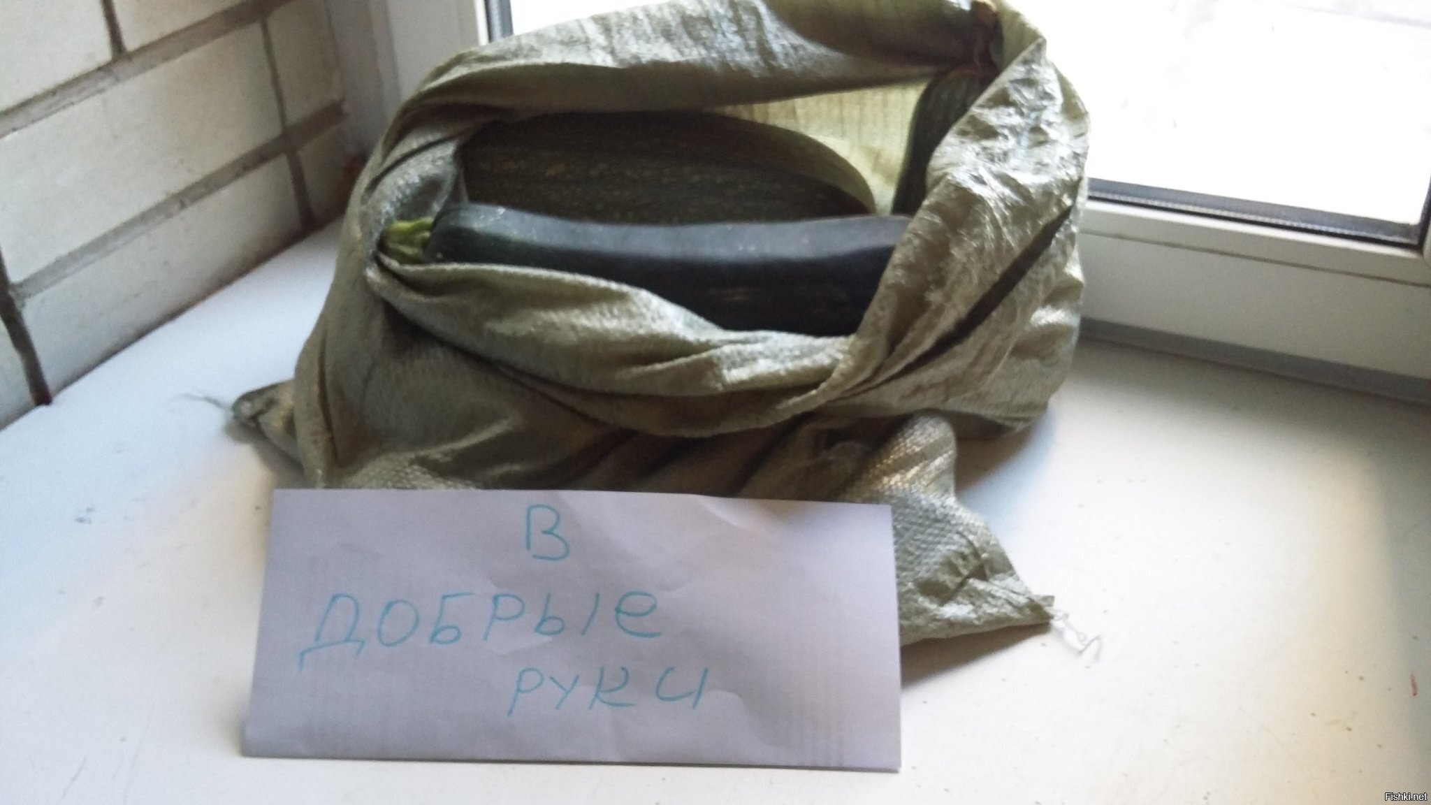 В добрые руки