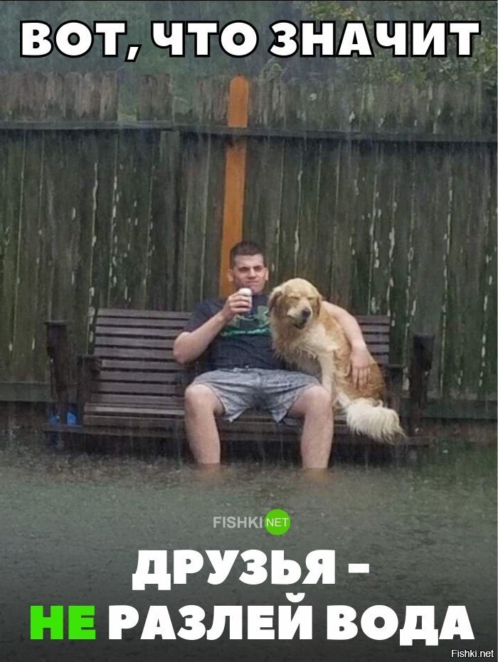 Друзья - не разлей вода
