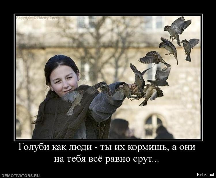 Так, наблюдение: